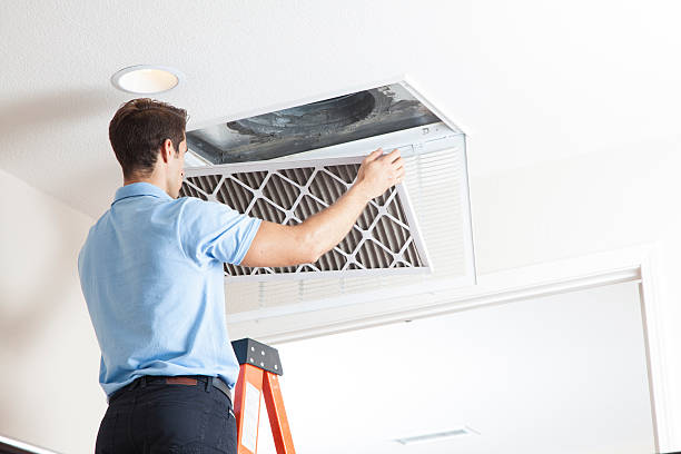 Best Affordable HVAC services  in Lamont, MI